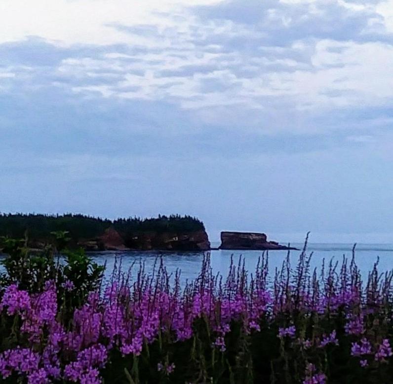 Moore'S Specialties Fundy Bay House Rental Gardner Creek Exteriör bild