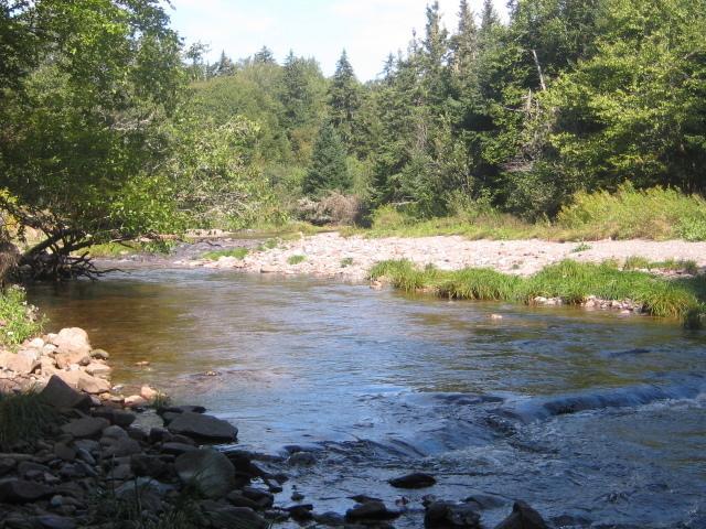 Moore'S Specialties Fundy Bay House Rental Gardner Creek Exteriör bild