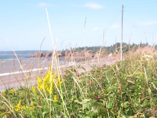 Moore'S Specialties Fundy Bay House Rental Gardner Creek Exteriör bild