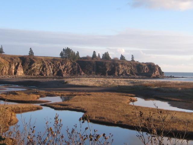Moore'S Specialties Fundy Bay House Rental Gardner Creek Exteriör bild