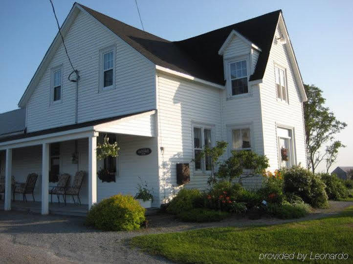 Moore'S Specialties Fundy Bay House Rental Gardner Creek Exteriör bild