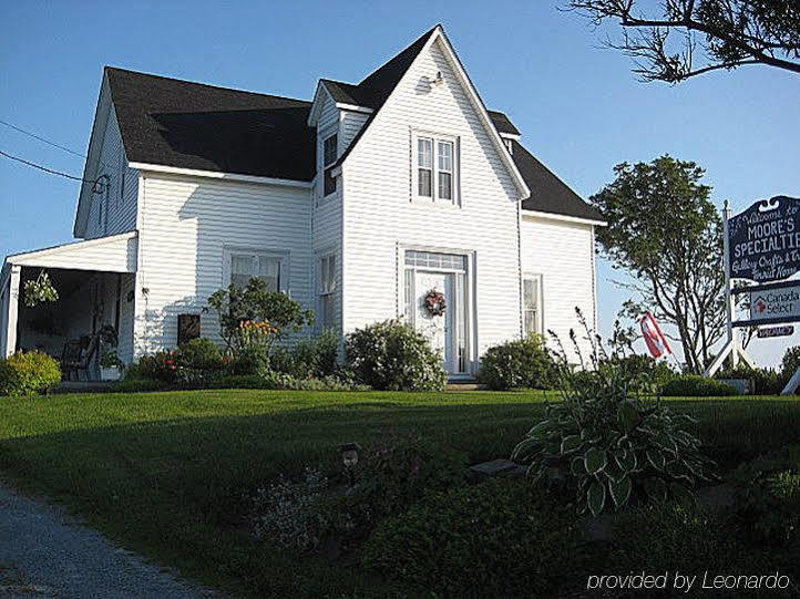 Moore'S Specialties Fundy Bay House Rental Gardner Creek Exteriör bild
