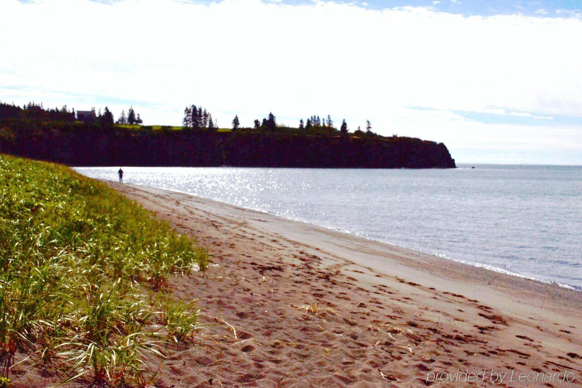 Moore'S Specialties Fundy Bay House Rental Gardner Creek Exteriör bild