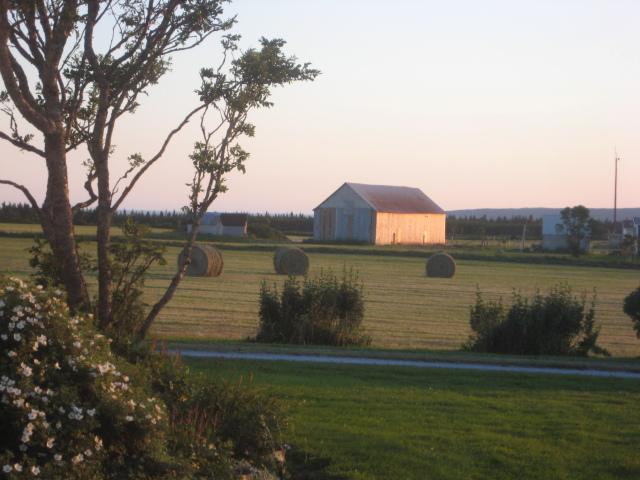 Moore'S Specialties Fundy Bay House Rental Gardner Creek Exteriör bild