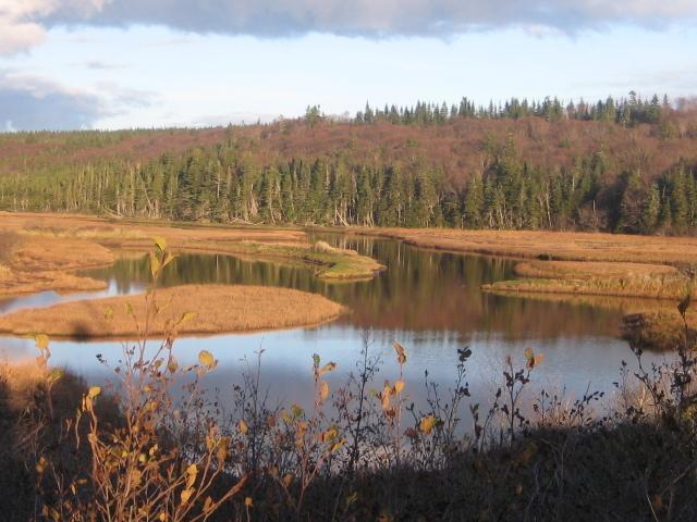 Moore'S Specialties Fundy Bay House Rental Gardner Creek Exteriör bild