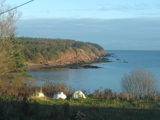 Moore'S Specialties Fundy Bay House Rental Gardner Creek Exteriör bild