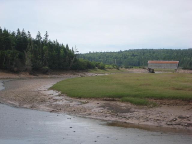 Moore'S Specialties Fundy Bay House Rental Gardner Creek Exteriör bild